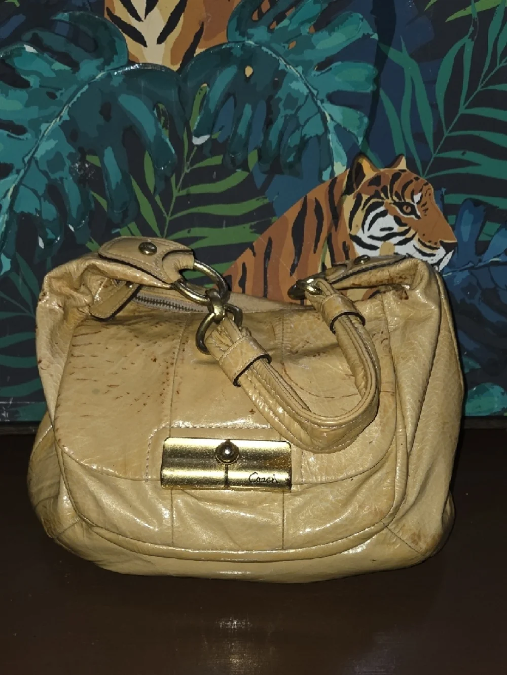 Coach Tan Leather Hobo Bag with Gold Hardware